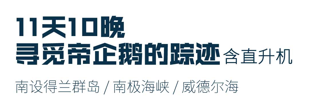 11天寻觅帝企鹅的踪迹，含直升机，南设得兰群岛+南极海峡+威德尔海