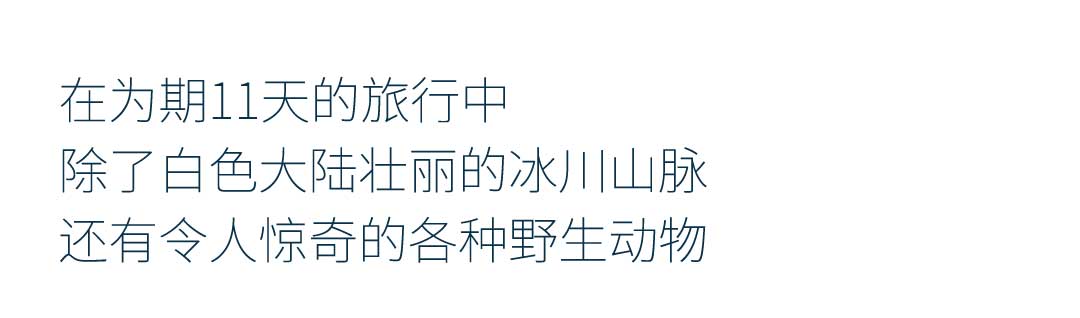 11天寻觅帝企鹅的踪迹，含直升机，南设得兰群岛+南极海峡+威德尔海